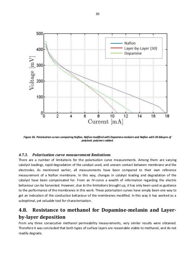 What is a dissertation image