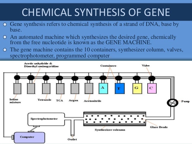 Geneart gene synthesis picture