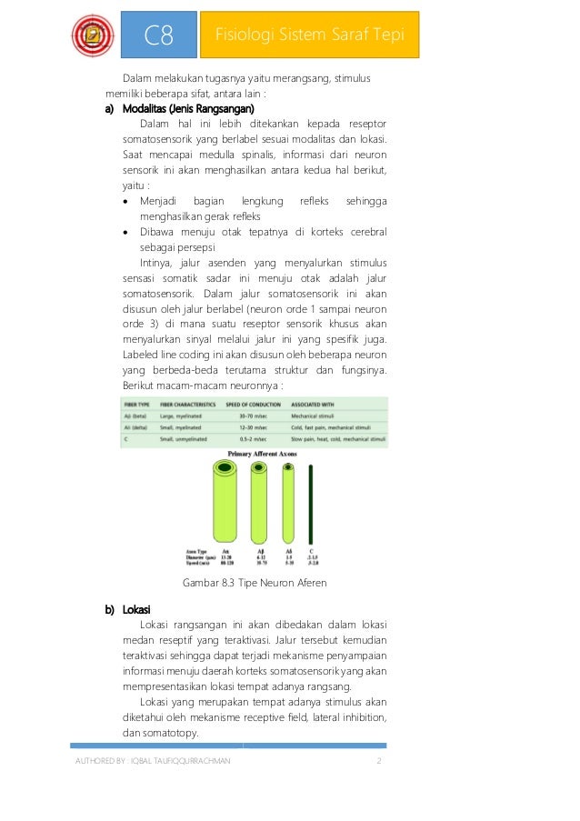C8 Fisiologi Sistem Saraf Tepi