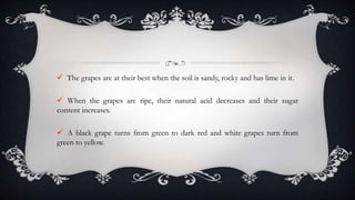  The grapes are at their best when the soil is sandy, rocky and has lime in it.
 When the grapes are ripe, their natural acid decreases and their sugar
content increases.
 A black grape turns from green to dark red and white grapes turn from
green to yellow.
 