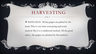  MANUALLY- All the grapes are picked by the
hand. This is very time consuming and costly
method. But it is a traditional method. All the good
wines , the grapes are plucked by this method.
HARVESTING
 