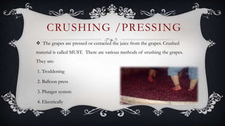  The grapes are pressed or extracted the juice from the grapes. Crushed
material is called MUST. There are various methods of crushing the grapes.
They are:
1. Troddening
2. Balloon press
3. Plunger system
4. Electrically
CRUSHING /PRESSING
 