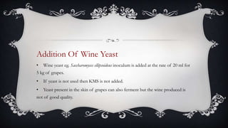 Addition Of Wine Yeast
• Wine yeast eg. Saccharomyces ellipsoideus inoculum is added at the rate of 20 ml for
5 kg of grapes.
• If yeast is not used then KMS is not added.
• Yeast present in the skin of grapes can also ferment but the wine produced is
not of good quality.
 