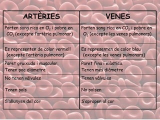 S’apropen al cor S’allunyen del cor No polsen Tenen pols Tenen vàlvules No tenen vàlvules Paret fina i elàstica.  Tenen més diàmetre Paret gruixuda i muscular.  Tenen poc diàmetre Es representen de color blau   (excepte les venes pulmonars) Es representen de color vermell   (excepte l’artèria pulmonar) Porten sang rica en CO 2  i pobre en O 2  (excepte les venes pulmonars) Porten sang rica en O 2  i pobre en CO 2  (excepte l’artèria pulmonar) VENES ARTÈRIES 