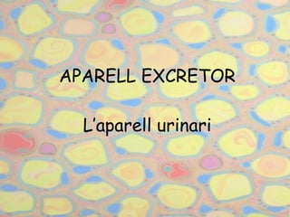 APARELL EXCRETOR L’aparell urinari 