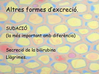 Altres formes d’excreció. SUDACIÓ  (la més important amb diferència) Secreció de la bilirubina Llàgrimes. 