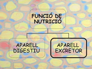 FUNCIÓ DE  NUTRICIÓ APARELL DIGESTIU APARELL  EXCRETOR 