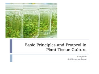 Basic Principles and Protocol in
Plant Tissue Culture
Chapter 9
Siti Norazura Jamal

 