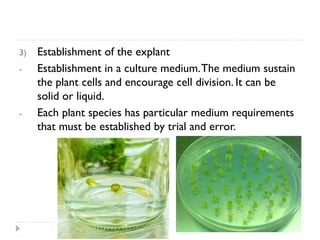 basic principles and protocol in plant tissue culture | PDF