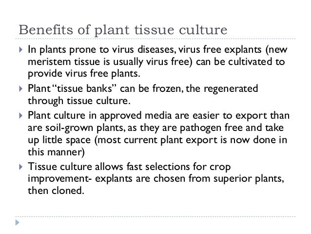 Basic Principles And Protocol In Plant Tissue Culture