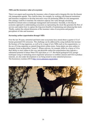 NBSs and the insurance value of ecosystems
There is an urgent need assessing the insurance value of nature and to integrate this into the disaster
risk management agenda. This could be done, for example, by working with financial institutions
and insurance companies to develop innovative ways for promoting NBSs for risk management.
One strategy could be to translate risk reduction capacity into value through calculating
benefit/investment ratios in landscape management and restoration. Secondly, to develop an
economic approach to understanding ecosystems as representing the stock that generates the flow of
services and explore how to capture the long-term benefits of maintaining and enhancing that stock.
Thirdly, explore the cultural dimension of the insurance value of ecosystems and people's
perceptions of risks and insurance.
Increasing carbon sequestration through NBSs
Over the last 30 years, terrestrial and fresh water ecosystems have stored about a quarter (1/3) of
human generated CO2 emissions. This challenge can be addressed by using methods that increase
the biomass of living organisms, as well as by a range of new NBSs such as bio-sequestration, i.e.
the use of living organisms as natural (long-term) carbon stores. Some plants can store carbon in
inorganic forms as phytoliths (“stones”). Wheat cultivars, for example, differ by a factor of 10 in
their ability to store carbon in this way and phytolith carbon bio-sequestration rates indicate a
substantial potential of about 50mt CO2 equivalent yr-1.37. Bio-based geological CO2 storage
techniques using or mimicking micro-organisms' processes to combine calcium and CO2 to produce
minerals, are also under development or are being tested in some industrial processes -
The biomimicry institute (2015) http://www.asknature.org/product.
18
 