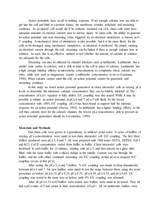 Action potentials have an all or nothing response. If not enough calcium ions are able to
get into the cell and bind to a protein kinase, the membrane remains polarized and streaming
continues. As an injured cell would die if its contents streamed out of it, chara cells must have
adequate amounts of external calcium ions to survive injury. In chara cells, the ability to generate
an action potential and stop streaming when triggered by an electrical stimulation is known as E-
C coupling. A mechanical form of stimulation is also possible, but it is far more likely for the
cells to be damaged using mechanical stimulation, so electrical is preferred. By simply running
an electrical current through the cell, streaming can be halted if there is enough calcium ions in
solution. As such, this is an effective method to test whether the amount of calcium in solution
are adequate for the cells.
Streaming can also be affected by channel blockers such as lanthanide. Lanthanide has a
similar ionic radius to calcium, and is able to bind to the cell in place of calcium. Lanthanide has
a high enough binding affinity at micromolar concentrations to completely block calcium ion
entry, while ions such as magnesium require a millimolar concentration to do so (Lansman,
1990). When calcium cannot enter the cell, an action potential cannot be generated, and
streaming continues.
In this study we tested action potential generation in chara internodal cells at varying pCa
levels to determine the minimum calcium concentration they can be reliably initiated at. The
concentration of La3+ required to fully inhibit E/C coupling was also tested. While it may be
possible to initiate an action potential at pCa 6 and 7, pCa 5 will likely be the lowest
concentration with 100% E/C coupling. pCa 6 has been found to support half the minimal
response for an action potential (Staves, 1993). As lanthanide has a higher binding affinity to the
cell than calcium does for the calcium channel, the lowest pLa concentration able to prevent an
action potential generation should be 6 (Lansman, 1990).
Materials and Methods:
Our chara cells were grown in a greenhouse in artificial pond water. A series of buffers of
varying pCa concentrations were made to test chara internodal cell E/C coupling. The first three
buffers produced were pCa 5, 6 and 7. All were prepared with 18Ω water, EGTA, HEPES, NaCl
and KCl. CaCl2 concentration varied from buffer to buffer. Chara internodal cells were
incubated in each buffer for 15 minutes, starting with pCa 5, and then placed on a glass slide
filled with the same buffer with a silicon bridge in the middle. Current was run through the
buffer, and the cells either continued streaming (no E/C coupling at that pCa) or stopped (E/C
coupling occurs at that pCa).
After testing the pCa 5, 6 and 7 buffers, % E/C coupling was found to drop dramatically
between pCa 6 and 7. Six new buffers were made to test the range between them, using the same
procedure as before: pCa 6.15, pCa 6.25, pCa 6.35, pCa 6.45, pCa 6.55, and pCa 6.65. E/C
coupling was tested in the same way as before, until 0% E/C coupling was obtained.
After all pCa 6.15-6.65 buffers were tested, new buffers were made to be tested. They all
had a pCa value of 5 and varied in their concentration of La3+. All six lanthanide buffers were
 