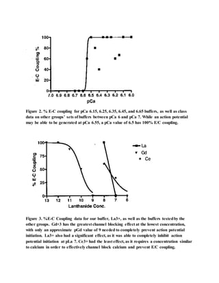 Figure 2. % E-C coupling for pCa 6.15, 6.25, 6.35, 6.45, and 6.65 buffers, as well as class
data on other groups’ sets of buffers between pCa 6 and pCa 7. While an action potential
may be able to be generated at pCa 6.55, a pCa value of 6.5 has 100% E/C coupling.
Figure 3. %E-C Coupling data for our buffer, La3+, as well as the buffers testedby the
other groups. Gd+3 has the greatest channel blocking effect at the lowest concentration,
with only an approximate pGd value of 9 needed to completely prevent action potential
initiation. La3+ also had a significant effect, as it was able to completely inhibit action
potential initiation at pLa 7. Ce3+ had the least effect, as it requires a concentration similar
to calcium in order to effectively channel block calcium and prevent E/C coupling.
 