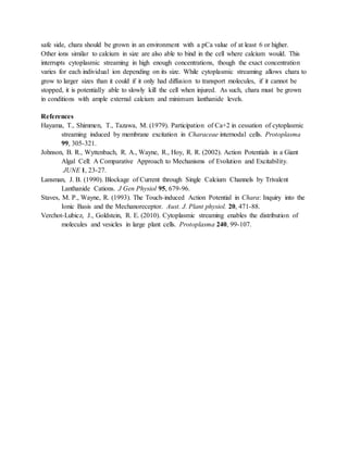 safe side, chara should be grown in an environment with a pCa value of at least 6 or higher.
Other ions similar to calcium in size are also able to bind in the cell where calcium would. This
interrupts cytoplasmic streaming in high enough concentrations, though the exact concentration
varies for each individual ion depending on its size. While cytoplasmic streaming allows chara to
grow to larger sizes than it could if it only had diffusion to transport molecules, if it cannot be
stopped, it is potentially able to slowly kill the cell when injured. As such, chara must be grown
in conditions with ample external calcium and minimum lanthanide levels.
References
Hayama, T., Shimmen, T., Tazawa, M. (1979). Participation of Ca+2 in cessation of cytoplasmic
streaming induced by membrane excitation in Characeae internodal cells. Protoplasma
99, 305-321.
Johnson, B. R., Wyttenbach, R. A., Wayne, R., Hoy, R. R. (2002). Action Potentials in a Giant
Algal Cell: A Comparative Approach to Mechanisms of Evolution and Excitability.
JUNE 1, 23-27.
Lansman, J. B. (1990). Blockage of Current through Single Calcium Channels by Trivalent
Lanthanide Cations. J Gen Physiol 95, 679-96.
Staves, M. P., Wayne, R. (1993). The Touch-induced Action Potential in Chara: Inquiry into the
Ionic Basis and the Mechanoreceptor. Aust. J. Plant physiol. 20, 471-88.
Verchot-Lubicz, J., Goldstein, R. E. (2010). Cytoplasmic streaming enables the distribution of
molecules and vesicles in large plant cells. Protoplasma 240, 99-107.
 