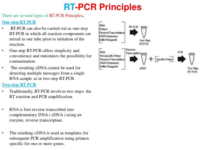 reverse transcriptase pcr