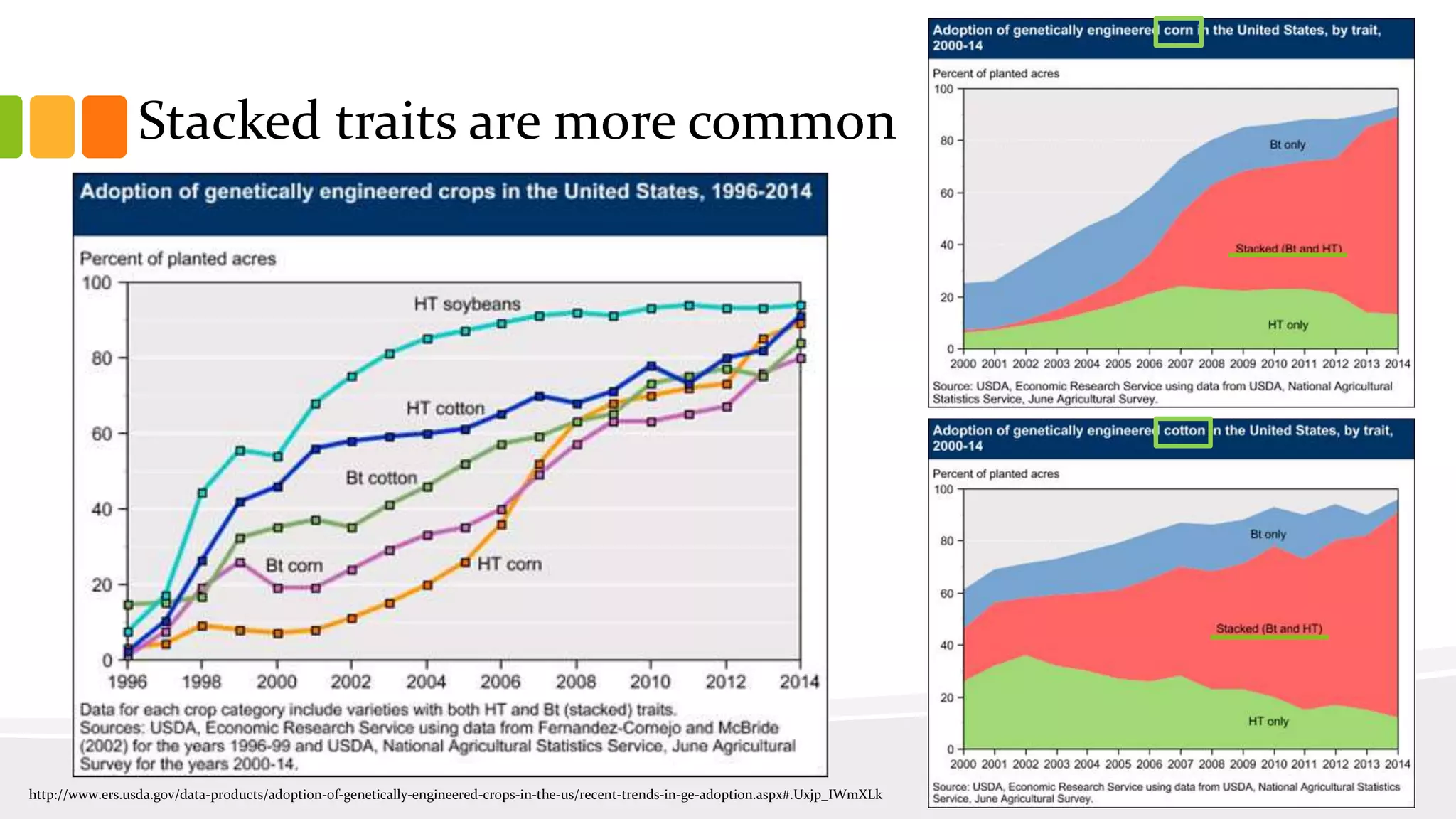 Stacked traits are more common
http://www.ers.usda.gov/data-products/adoption-of-genetically-engineered-crops-in-the-us/recent-trends-in-ge-adoption.aspx#.Uxjp_IWmXLk
 