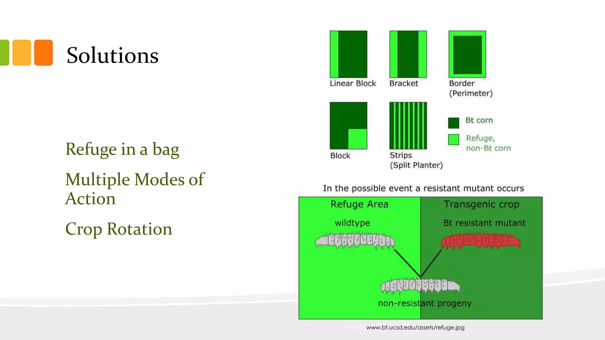 Solutions
Refuge in a bag
Multiple Modes of
Action
Crop Rotation
http://www.bt.ucsd.edu/assets/refuge.jpg
 