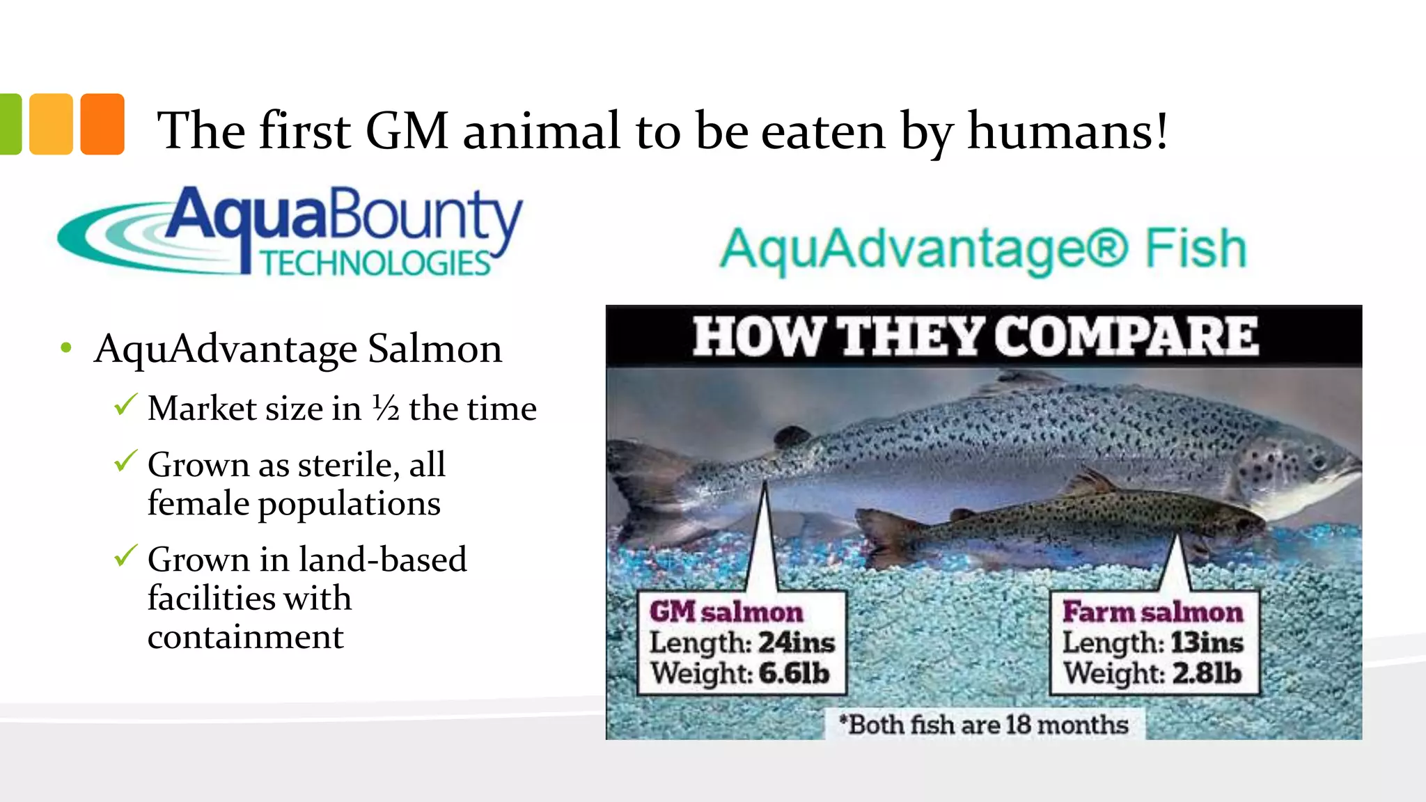 The first GM animal to be eaten by humans!
• AquAdvantage Salmon
 Market size in ½ the time
 Grown as sterile, all
female populations
 Grown in land-based
facilities with
containment
 
