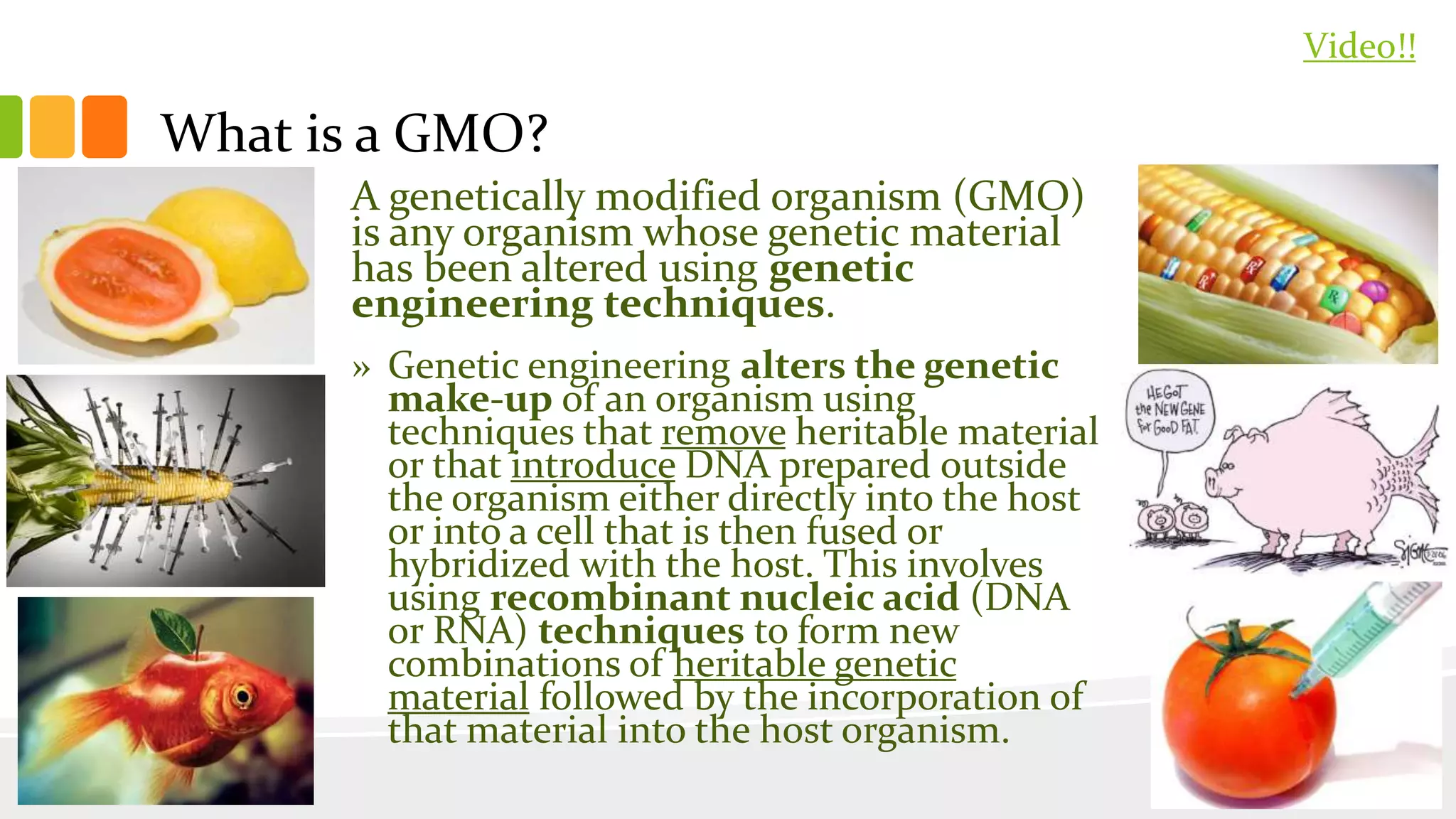 What is a GMO?
A genetically modified organism (GMO)
is any organism whose genetic material
has been altered using genetic
engineering techniques.
» Genetic engineering alters the genetic
make-up of an organism using
techniques that remove heritable material
or that introduce DNA prepared outside
the organism either directly into the host
or into a cell that is then fused or
hybridized with the host. This involves
using recombinant nucleic acid (DNA
or RNA) techniques to form new
combinations of heritable genetic
material followed by the incorporation of
that material into the host organism.
Video!!
 