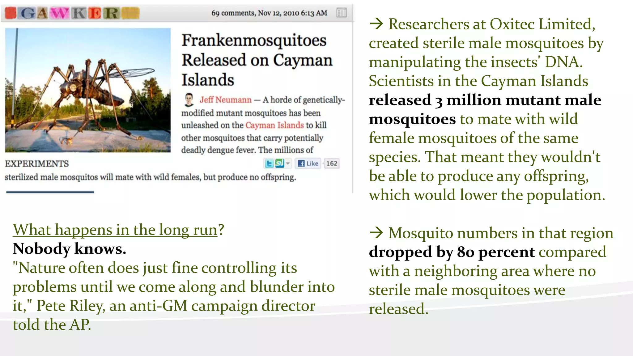  Researchers at Oxitec Limited,
created sterile male mosquitoes by
manipulating the insects' DNA.
Scientists in the Cayman Islands
released 3 million mutant male
mosquitoes to mate with wild
female mosquitoes of the same
species. That meant they wouldn't
be able to produce any offspring,
which would lower the population.
 Mosquito numbers in that region
dropped by 80 percent compared
with a neighboring area where no
sterile male mosquitoes were
released.
What happens in the long run?
Nobody knows.
"Nature often does just fine controlling its
problems until we come along and blunder into
it," Pete Riley, an anti-GM campaign director
told the AP.
 