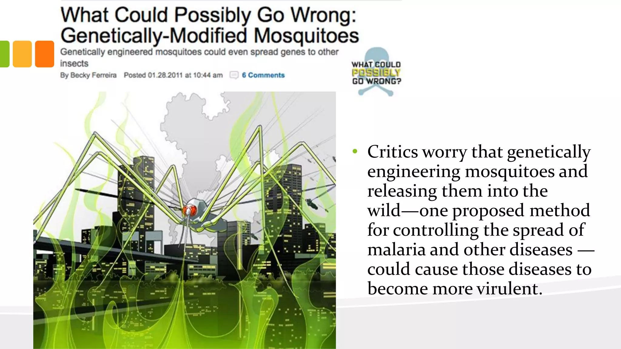 • Critics worry that genetically
engineering mosquitoes and
releasing them into the
wild—one proposed method
for controlling the spread of
malaria and other diseases —
could cause those diseases to
become more virulent.
 