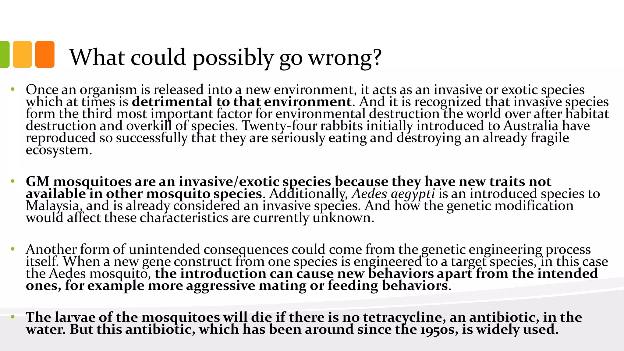 What could possibly go wrong?
• Once an organism is released into a new environment, it acts as an invasive or exotic species
which at times is detrimental to that environment. And it is recognized that invasive species
form the third most important factor for environmental destruction the world over after habitat
destruction and overkill of species. Twenty-four rabbits initially introduced to Australia have
reproduced so successfully that they are seriously eating and destroying an already fragile
ecosystem.
• GM mosquitoes are an invasive/exotic species because they have new traits not
available in other mosquito species. Additionally, Aedes aegypti is an introduced species to
Malaysia, and is already considered an invasive species. And how the genetic modification
would affect these characteristics are currently unknown.
• Another form of unintended consequences could come from the genetic engineering process
itself. When a new gene construct from one species is engineered to a target species, in this case
the Aedes mosquito, the introduction can cause new behaviors apart from the intended
ones, for example more aggressive mating or feeding behaviors.
• The larvae of the mosquitoes will die if there is no tetracycline, an antibiotic, in the
water. But this antibiotic, which has been around since the 1950s, is widely used.
 
