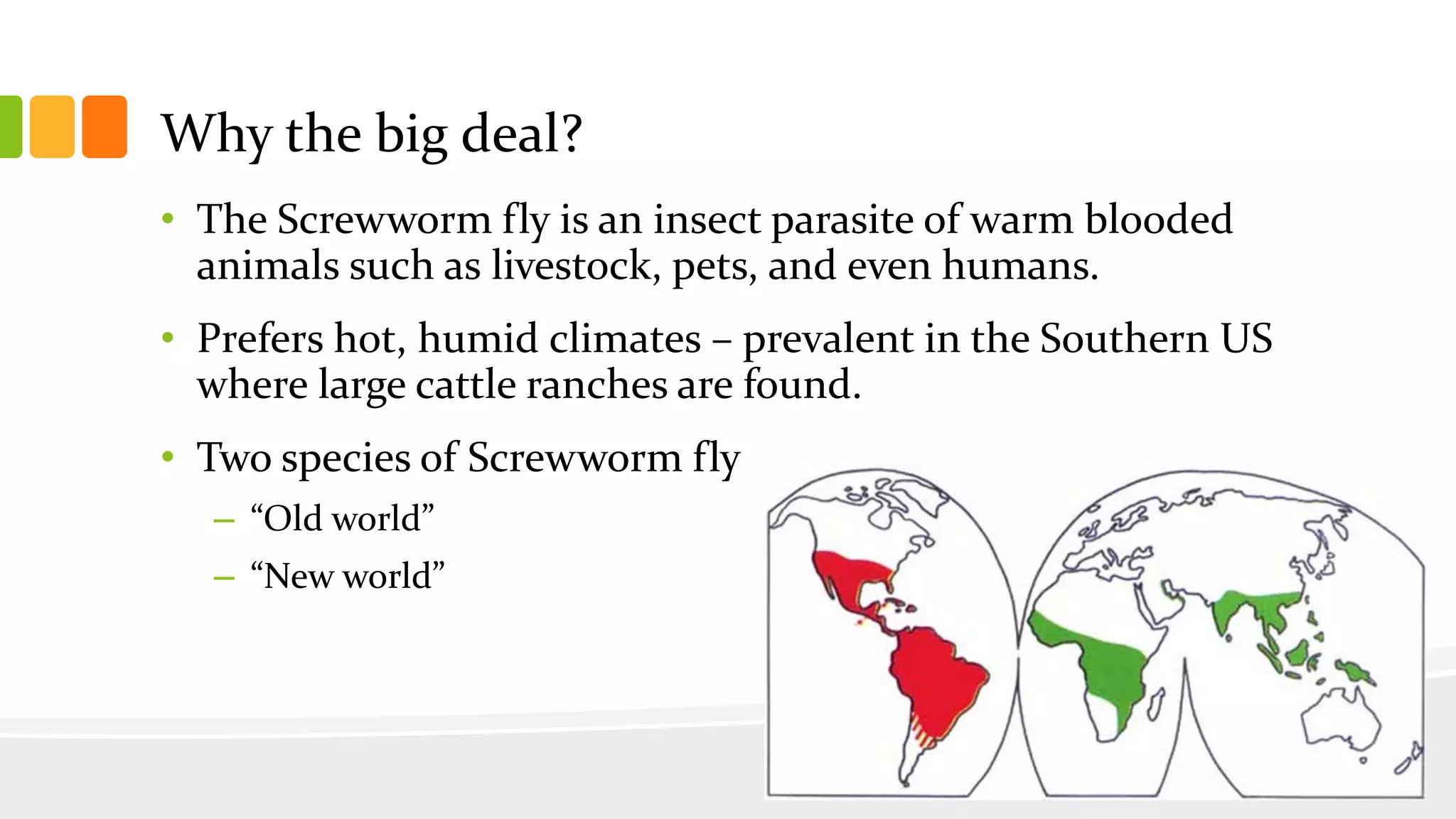 Why the big deal?
• The Screwworm fly is an insect parasite of warm blooded
animals such as livestock, pets, and even humans.
• Prefers hot, humid climates – prevalent in the Southern US
where large cattle ranches are found.
• Two species of Screwworm fly
– “Old world”
– “New world”
 