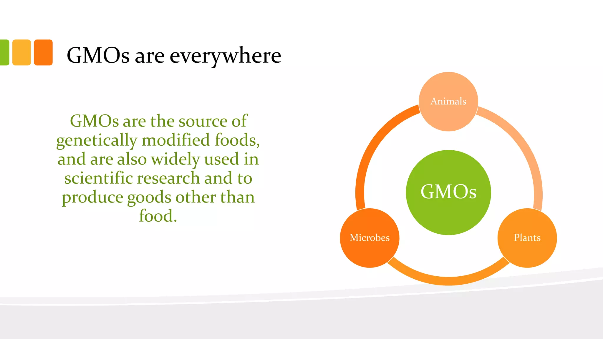GMOs are everywhere
GMOs are the source of
genetically modified foods,
and are also widely used in
scientific research and to
produce goods other than
food.
GMOs
Animals
PlantsMicrobes
 