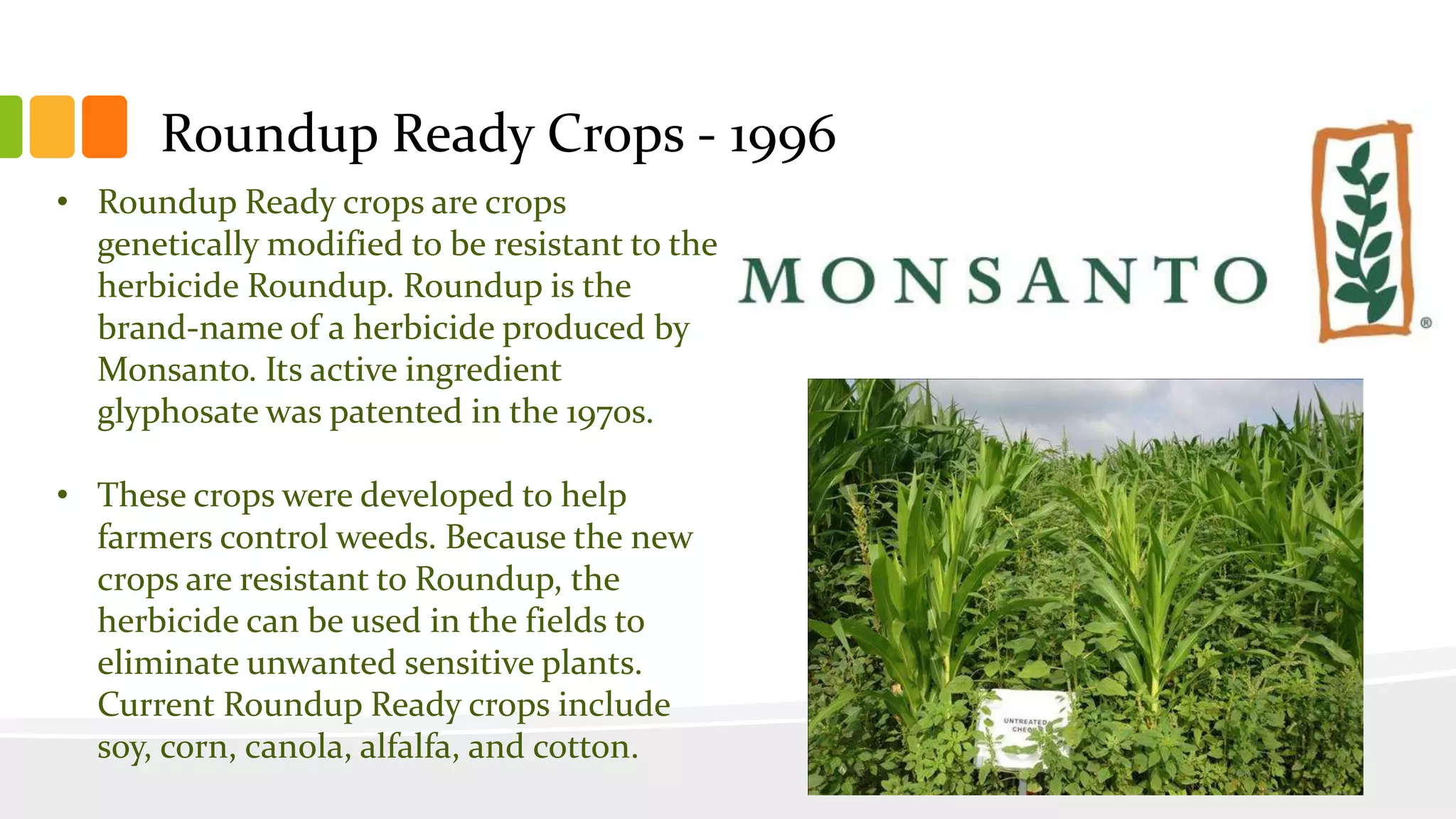 Roundup Ready Crops - 1996
• Roundup Ready crops are crops
genetically modified to be resistant to the
herbicide Roundup. Roundup is the
brand-name of a herbicide produced by
Monsanto. Its active ingredient
glyphosate was patented in the 1970s.
• These crops were developed to help
farmers control weeds. Because the new
crops are resistant to Roundup, the
herbicide can be used in the fields to
eliminate unwanted sensitive plants.
Current Roundup Ready crops include
soy, corn, canola, alfalfa, and cotton.
 