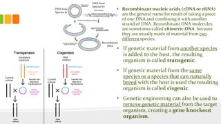 Dna Combining GMO lecture | PPTX