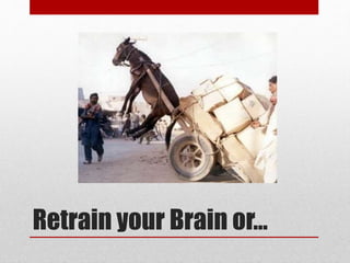Retrain your Brain or…
 