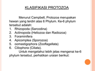 KLASIFIKASI PROTOZOA
Menurut Campbell, Protozoa merupakan
hewan yang terdiri atas 6 Phylum. Ke-6 phylum
tersebut adalah:
1. Rhizopoda (Sarcodina)
2. Actinopoda (Heliozoa dan Radiozoa)
3. Foraminifera
4. Apicomplea (Sporozoa)
5. oomastigophora (Zooflagellata)
6. Ciliophora (Ciliata).
Untuk mengetahui lebih jelas mengenai ke-6
phylum tersebut, perhatikan uraian berikut:
 