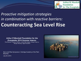 Proactive mitigation strategies
in combination with reactive barriers:
Counteracting Sea Level Rise
Arthur R Marshall Foundation for the
Everglades 2014 Summer Interns:
Paul Boynton, Jessica Huffman, Janna Ellis Kepley, Cheng-Tung Liu,
Morgan Mooney, Nigel Woodfork
Sea Level Rise Symposium, Oxbridge Academy of the Palm
Beaches.
July 25, 2014
theresilientearth.com
 