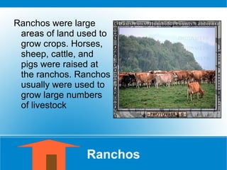 Ranchos Ranchos were large areas of land used to grow crops. Horses, sheep, cattle, and pigs were raised at the ranchos. Ranchos usually were used to grow large numbers of livestock  
