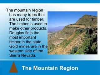 The Mountain Region The mountain region has many trees that are used for timber. The timber is used to make other products. Douglas fir is the most important  timber in the state. Gold mines are in the western side of the Sierra Nevada. 