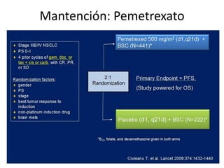 Mantención: Pemetrexato
 