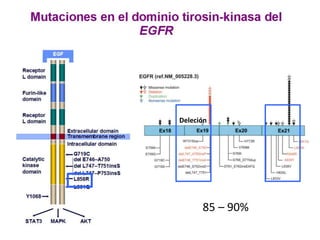 Deleción
85 – 90%
 