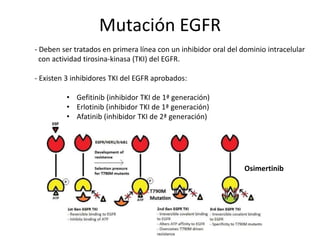 Mutación EGFR
- Deben ser tratados en primera línea con un inhibidor oral del dominio intracelular
con actividad tirosina-kinasa (TKI) del EGFR.
- Existen 3 inhibidores TKI del EGFR aprobados:
• Gefitinib (inhibidor TKI de 1ª generación)
• Erlotinib (inhibidor TKI de 1ª generación)
• Afatinib (inhibidor TKI de 2ª generación)
Osimertinib
 