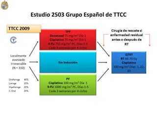 Estudio 2503 Grupo Español de TTCC
 