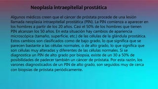 Neoplasia intraepitelial prostática
Algunos médicos creen que el cáncer de próstata procede de una lesión
llamada neoplasia intraepitelial prostática (PIN). La PIN comienza a aparecer en
los hombres a partir de los 20 años. Casi el 50% de los hombres que tienen
PIN alcanzan los 50 años. En esta situación hay cambios de apariencia
microscópica (tamaño, superficie, etc.) de las células de la glándula prostática.
Estos cambios son clasificados como de bajo grado, lo que significa que se
parecen bastante a las células normales, o de alto grado, lo que significa que
son células muy alteradas y diferentes de las células normales. Si se
diagnostica un PIN de alto grado por biopsia, existe de un 30 a 50% de
posibilidades de padecer también un cáncer de próstata. Por esta razón, los
varones diagnosticados de un PIN de alto grado, son seguidos muy de cerca
con biopsias de próstata periódicamente.
 