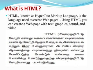 Html From Computer Language Application COMPUTER APPLICATION CLASS 11 PPT | PPTX