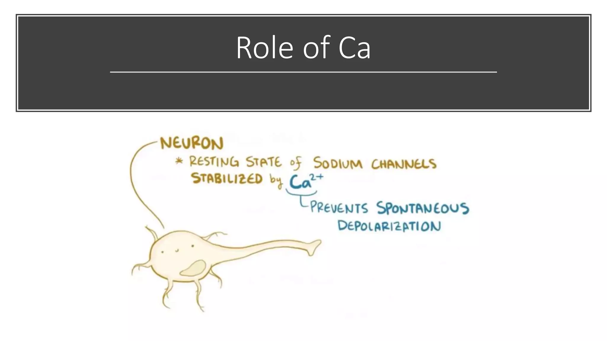 Role of Ca
 