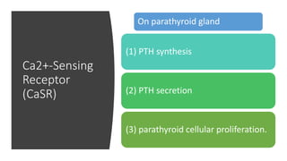 Ca2+-Sensing
Receptor
(CaSR)
On parathyroid gland
(1) PTH synthesis
(2) PTH secretion
(3) parathyroid cellular proliferation.
 
