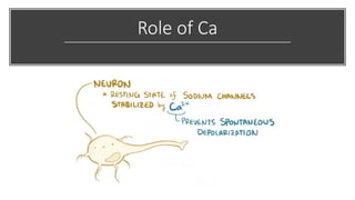 Role of Ca
 