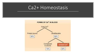 Ca2+ Homeostasis
 