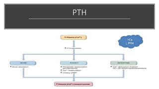 PTH
 