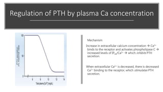 Regulation of PTH by plasma Ca concentration
 