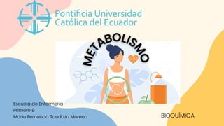 M
E
T
ABOLIS
M
O
BIOQUÍMICA
Escuela de Enfermería
Primero B
Maria Fernanda Tandazo Moreno
 