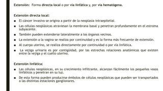 Extensión: Forma directa local o por vía linfática y, por vía hematógena.
Extensión directa local:
■ El cáncer invasivo se origina a partir de la neoplasia intraepitelial.
■ Las células neoplásicas atraviesan la membrana basal y penetran profundamente en el estroma
subyacente.
■ También pueden extenderse lateralmente a los órganos vecinos.
■ La extensión a la vagina se realiza por continuidad y es la forma más frecuente de extensión.
■ Al cuerpo uterino, se realiza directamente por continuidad o por vía linfática.
■ La vejiga urinaria es por contigüidad, por las estrechas relaciones anatómicas que existen
entre la vejiga y el cuello uterino.
Extensión linfática:
■ Las células neoplásicas, en su crecimiento infiltrante, alcanzan fácilmente los pequeños vasos
linfáticos y penetran en su luz.
■ De esta forma pueden producirse émbolos de células neoplásicas que pueden ser transportados
a las distintas estaciones ganglionares.
 