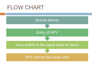 FLOW CHART
HPV infects the basal cells
Virus enters in the basal layer of cervix
Entry of HPV
Sexual activity
 